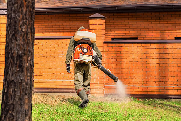 Bed Bug Clearance Verification and Documentation in Norwood Young America